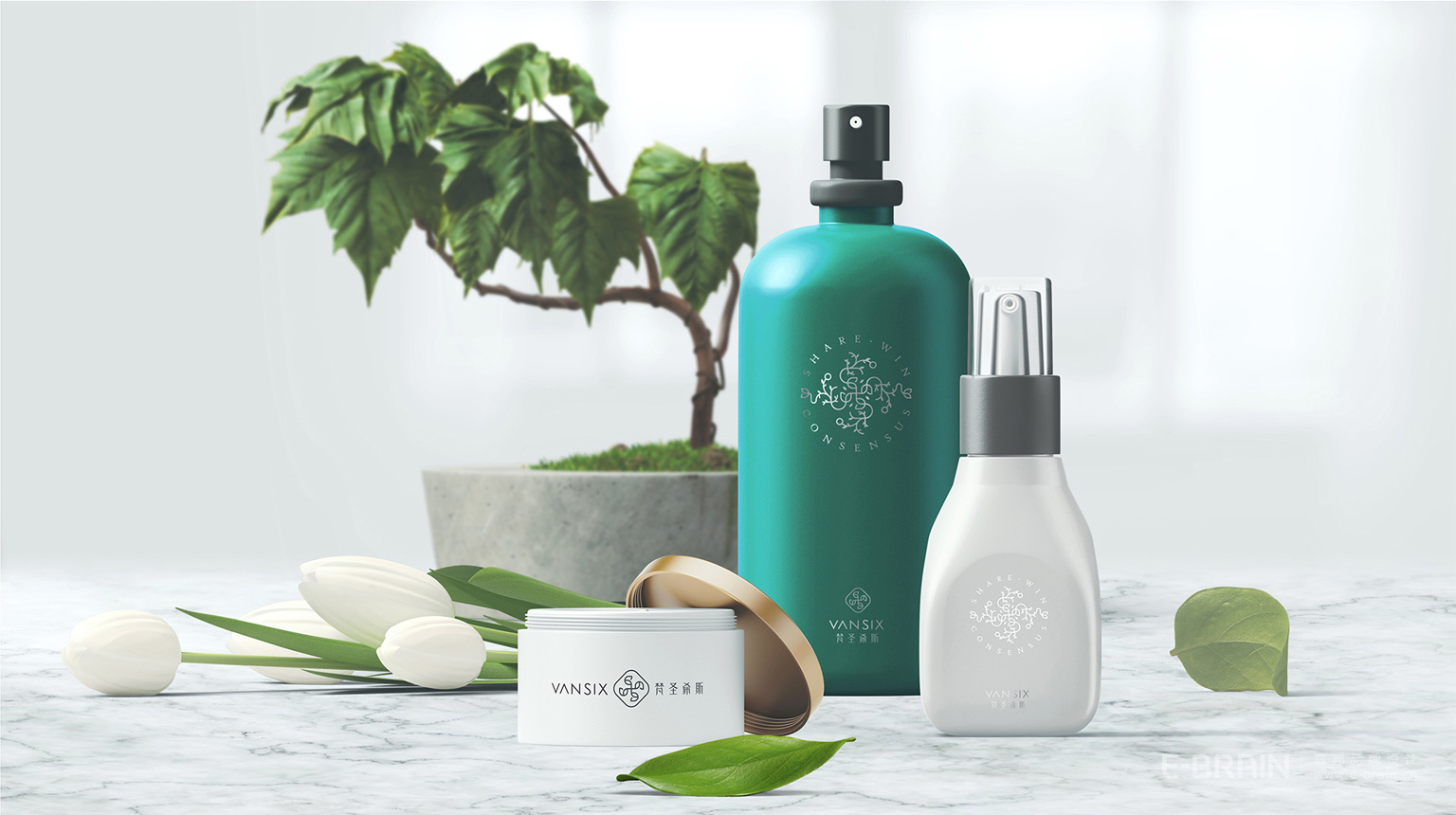 梵圣希斯品牌產(chǎn)品貼圖