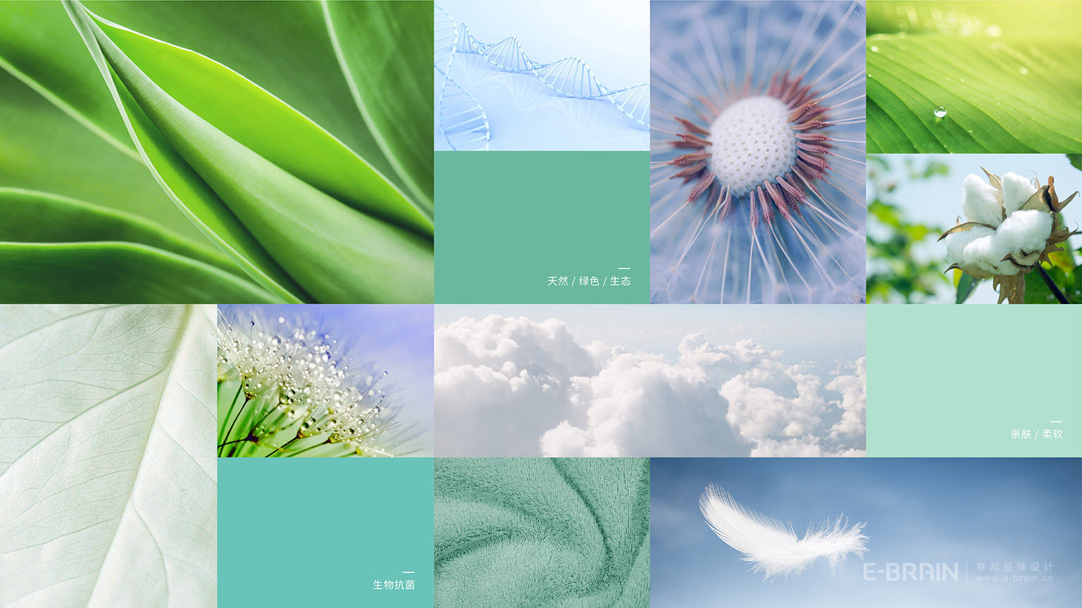 日化品牌LOGO設(shè)計