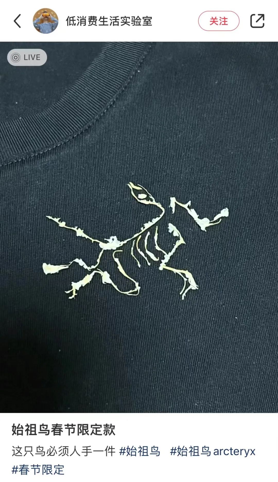 品牌logo-始祖鳥爆改